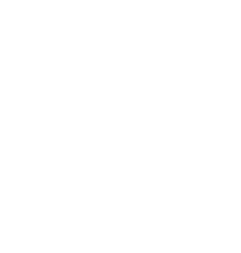 Audi Service