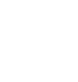 SKODA Service